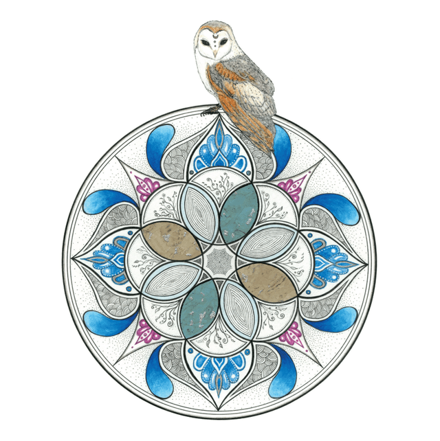 ❃ La rosace et l'effraie ❃