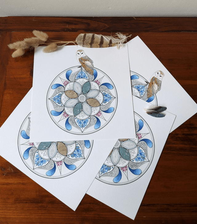 ❃ La rosace et l&#039;effraie ❃